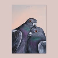 Image 1 of Pigeon love | Poster