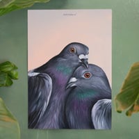 Image 2 of Pigeon love | Poster