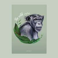 Image 1 of The wild is my home | Poster