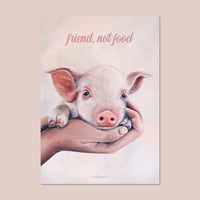 Image 1 of Friend, not food | Pig | Poster