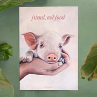 Image 2 of Friend, not food | Pig | Poster