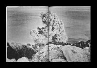 Image 5 of ne`er such a thing - THE BOOK