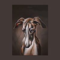 Image 1 of Galgo | Poster