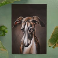 Image 2 of Galgo | Poster