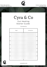 Cyra & Co.'s Gut Healing Starter Guide