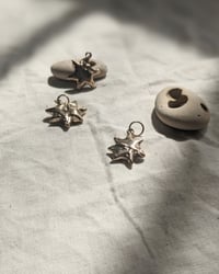 Image 4 of Steren Star Charm