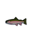 Rainbow Trout Pin