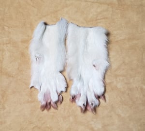 Image of Wolf Legskin Scraps