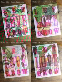 Image 9 of Let Love Grow | Limited Edition Letterpress Print