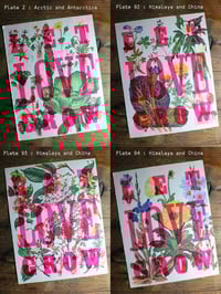 Image 10 of Let Love Grow | Limited Edition Letterpress Print
