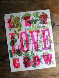 Image 11 of Let Love Grow | Limited Edition Letterpress Print
