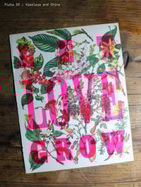 Image 12 of Let Love Grow | Limited Edition Letterpress Print
