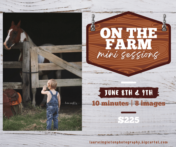 Image of On The Farm Mini Sessions