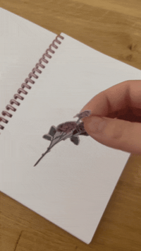 Image 2 of Wildflowers | Reusable Sticker Collection Book