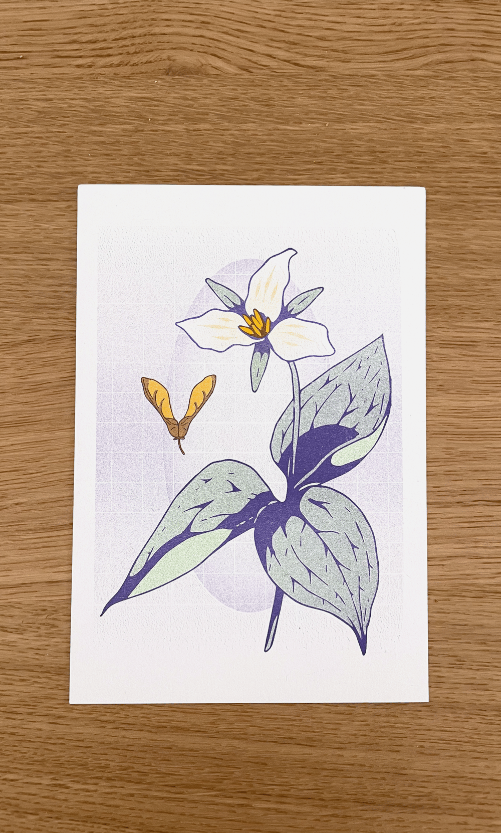 Trillium Risograph Print