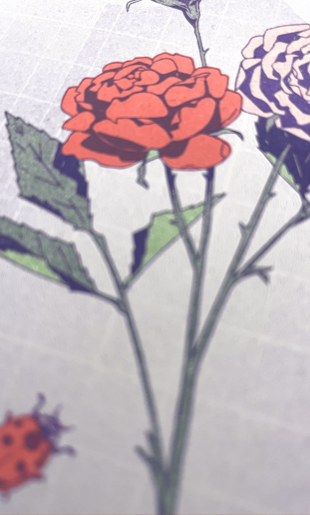 Rose Risograph Print