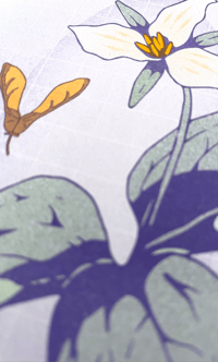 Image 2 of Trillium Risograph Print