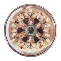 14" Plate:  Chalcopyrite/Pyrite/Amazonite/Citrine/Black Kyanite/Emerald/Brazilian Quartz/FOL