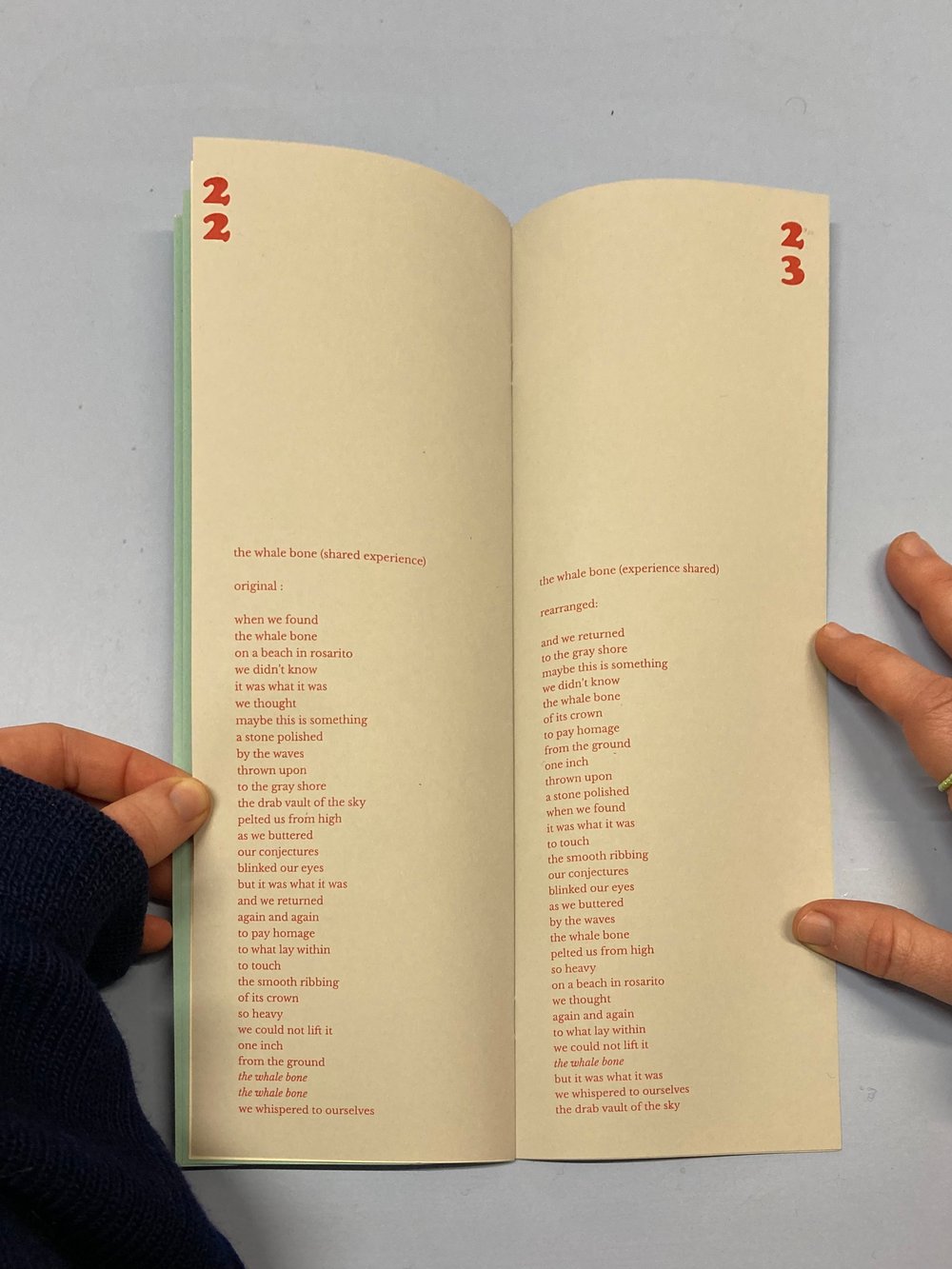 Poetry is for everyone - fanzine by s m van de kamp 