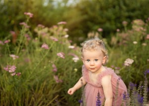 Image of Flower Farm Mini Sessions