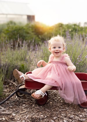 Image of Flower Farm Mini Sessions