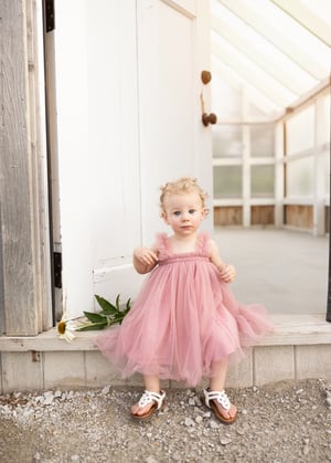 Image of Flower Farm Mini Sessions