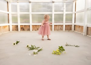 Image of Flower Farm Mini Sessions