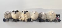 Image 1 of Sheep & Dog