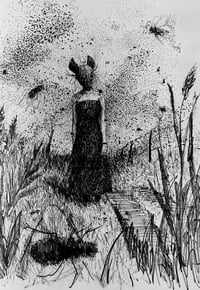 Image 2 of The Bug Collector