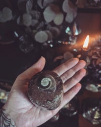 Image 4 of Fossil trinket boxes