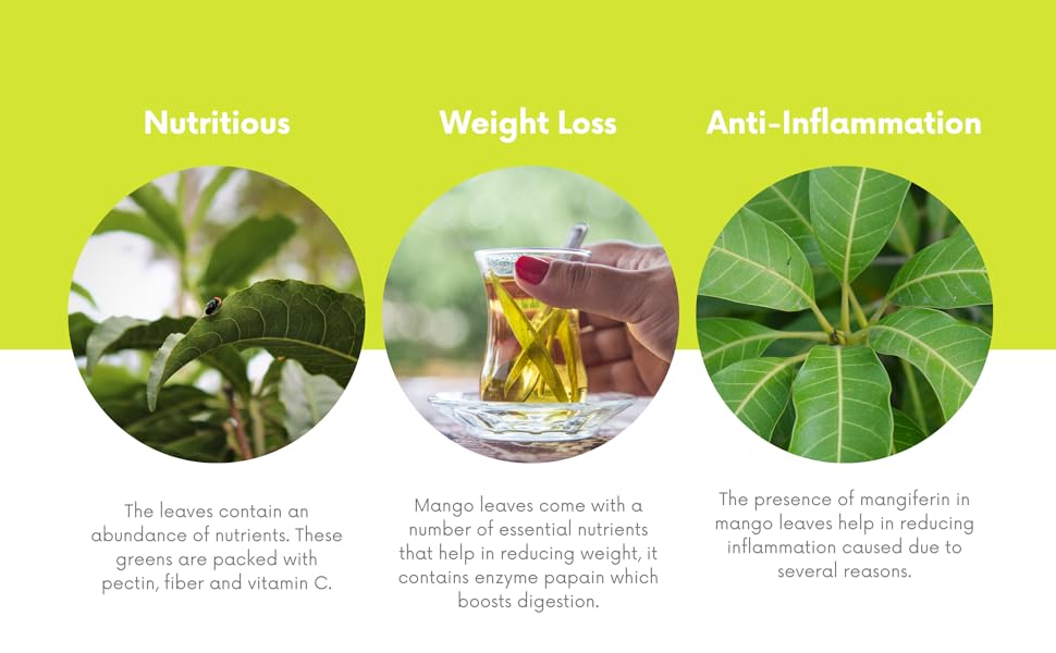 Magnificent Mango! Wild Mango Leaf Tea-Tumors-Cells-Autoimmune-Alzheimer-Parkinsons-Strokes