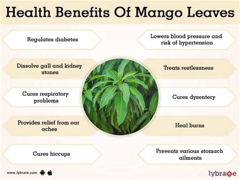Magnificent Mango! Wild Mango Leaf Tea-Tumors-Cells-Autoimmune-Alzheimer-Parkinsons-Strokes