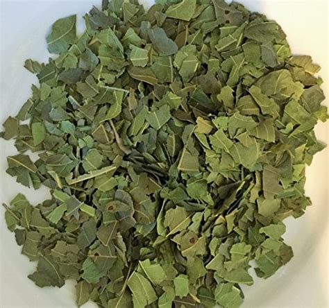 Magnificent Mango! Wild Mango Leaf Tea-Tumors-Cells-Autoimmune-Alzheimer-Parkinsons-Strokes