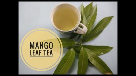 Magnificent Mango! Wild Mango Leaf Tea-Tumors-Cells-Autoimmune-Alzheimer-Parkinsons-Strokes