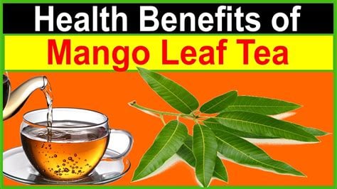Magnificent Mango! Wild Mango Leaf Tea-Tumors-Cells-Autoimmune-Alzheimer-Parkinsons-Strokes