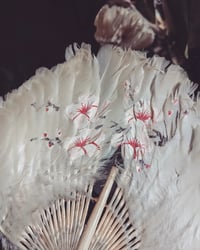 Image 3 of Feather fan 