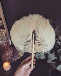 Image 2 of Feather fan 