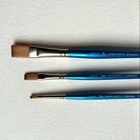 *New* Winsor and Newton Cotman Series 666