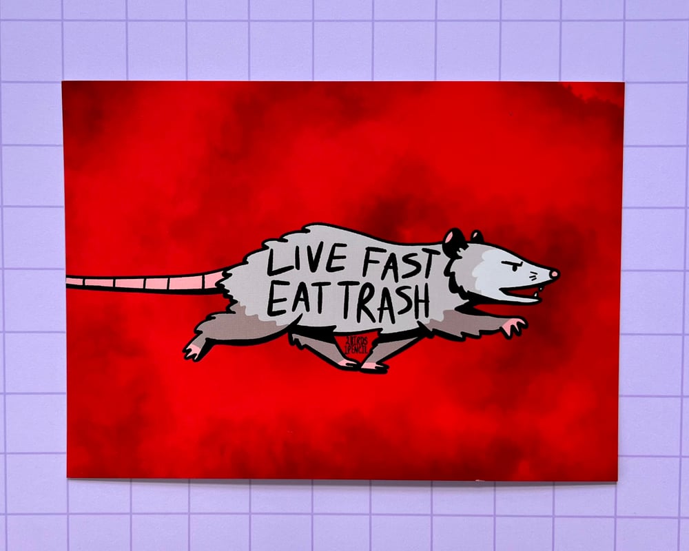 Image of Live fast eat trash possum postcard print