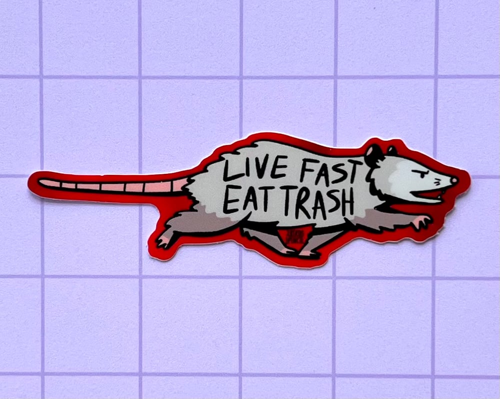 Image of Live fast eat trash possum vinyl sticker