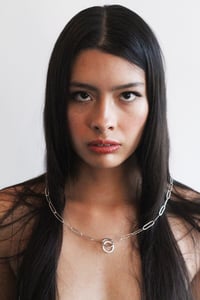 Image 1 of Silver Pull 
