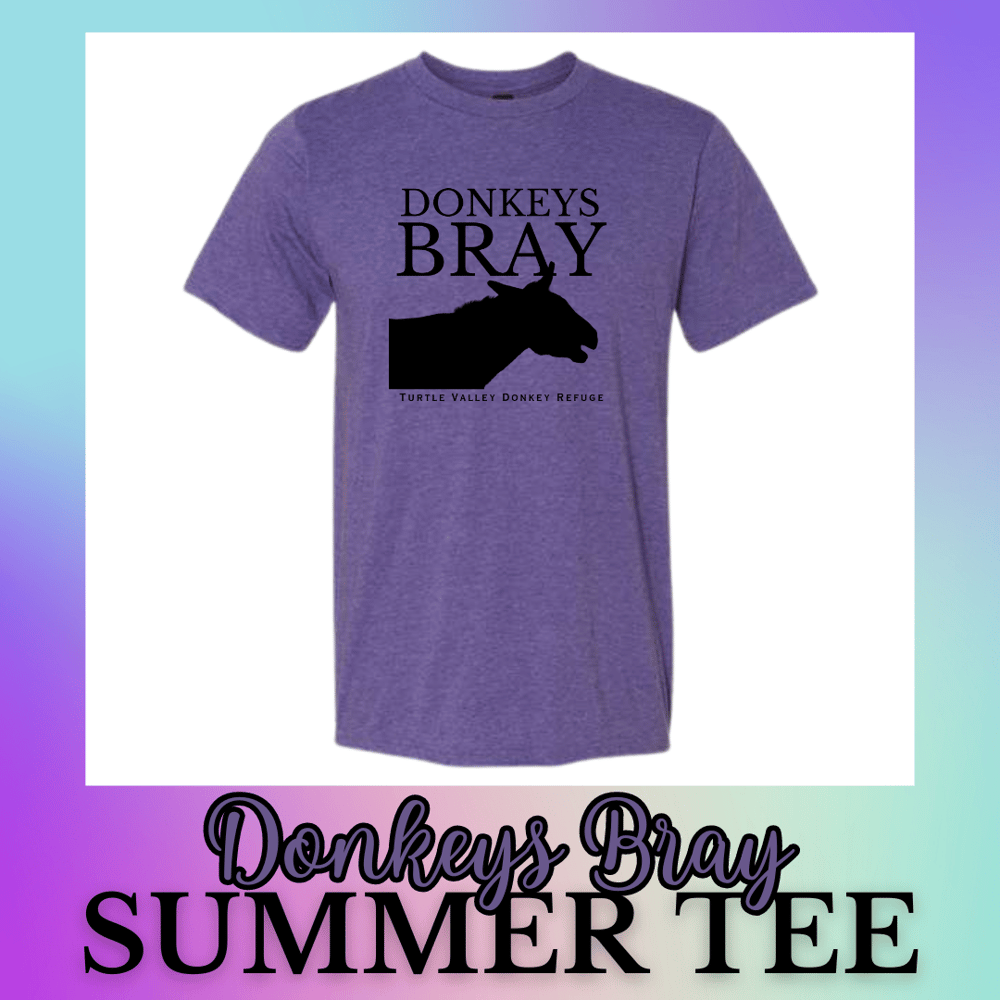 Image of Donkeys Bray Summer Tee