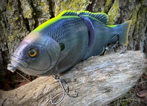 Image of 8” Presence Gill (Tracking strip Coppernose)