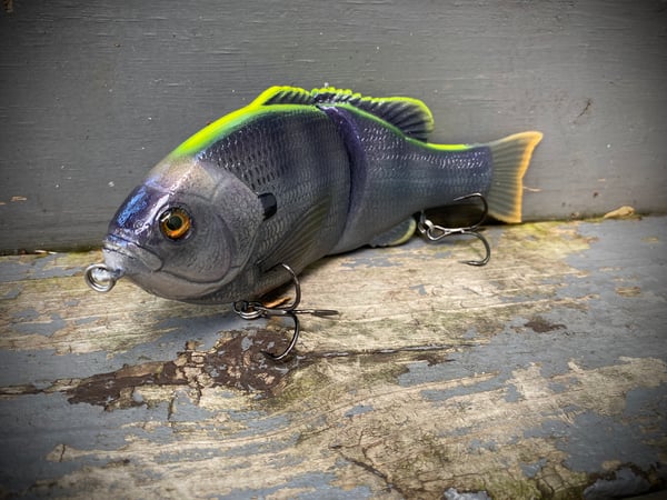 Image of 8” Presence Gill (Tracking strip Coppernose)