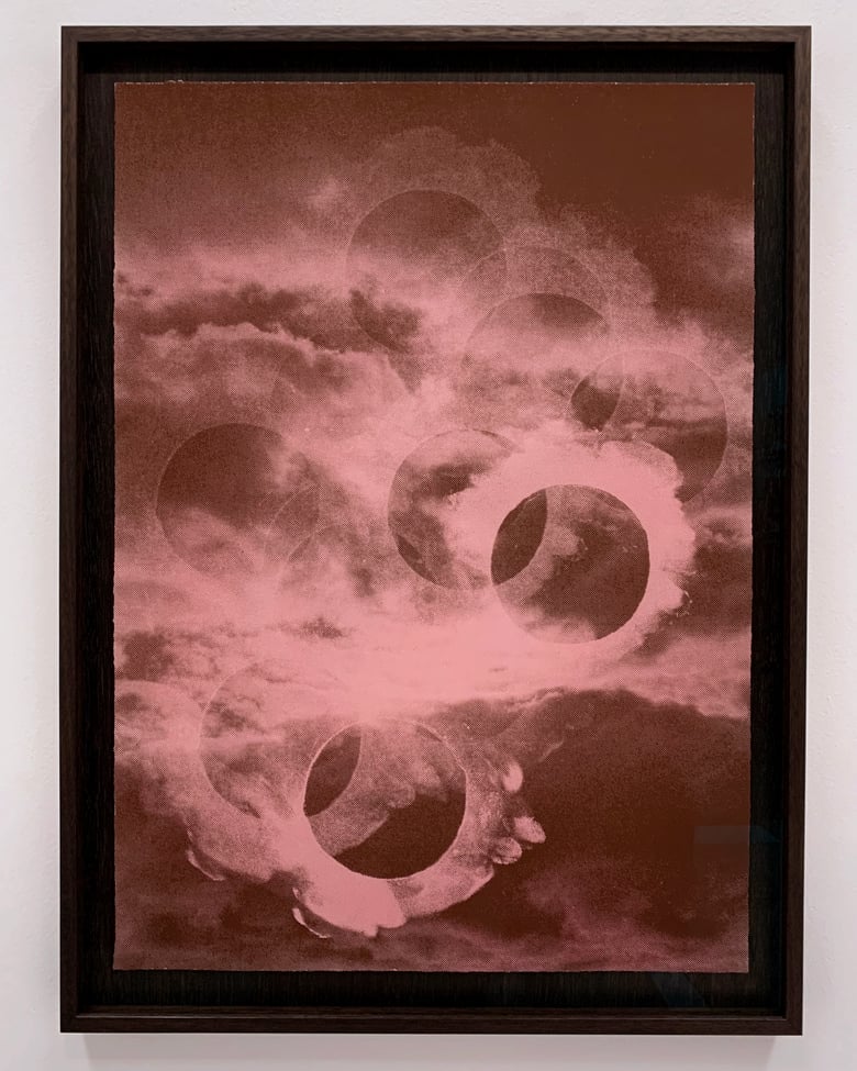 Image of Dream (Autumn Pink) - framed