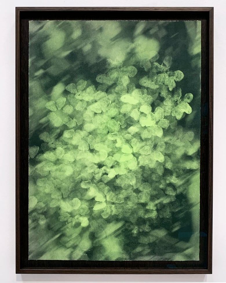 Image of Flowers of the heart (Spring Green) - framed