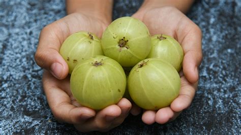 Cellular! Indian Gooseberry. Diabetes-Acidity-Liver-Weight-Memory-Joint Pain-Diuretic-Toxins-Hair-