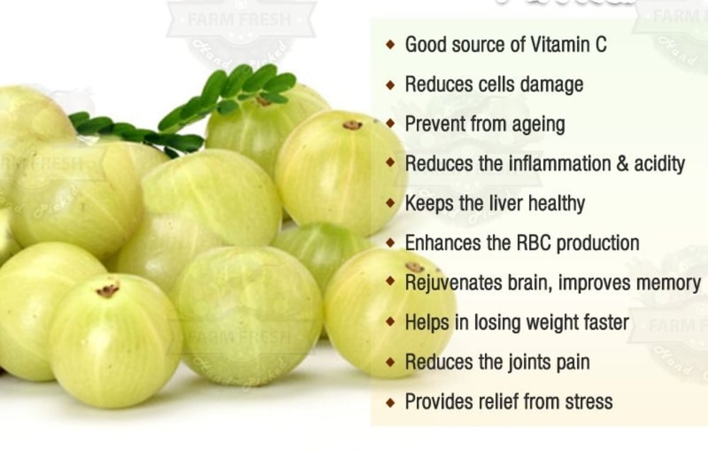 Cellular! Indian Gooseberry. Diabetes-Acidity-Liver-Weight-Memory-Joint Pain-Diuretic-Toxins-Hair-