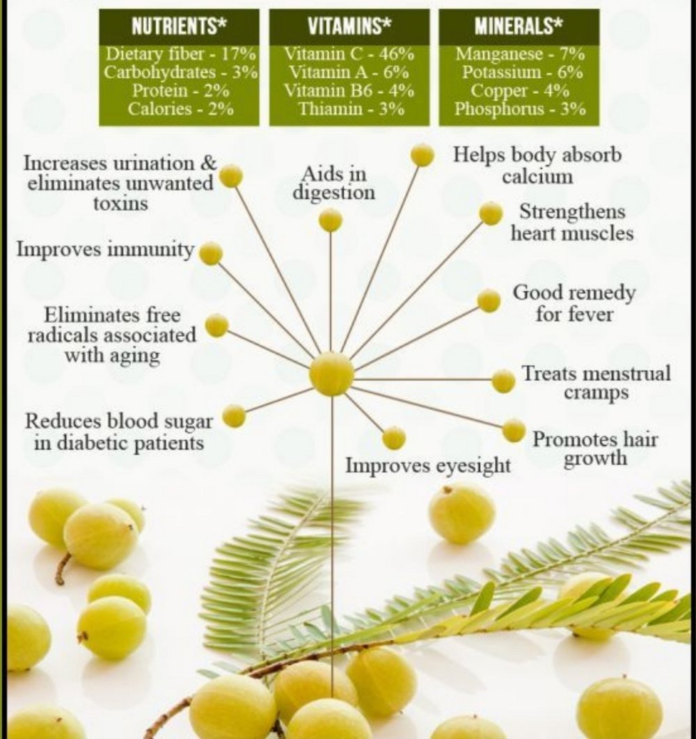 Cellular! Indian Gooseberry. Diabetes-Acidity-Liver-Weight-Memory-Joint Pain-Diuretic-Toxins-Hair-