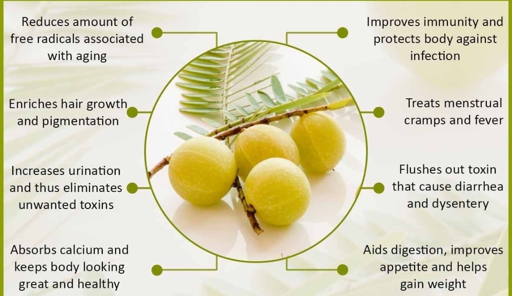 Cellular! Indian Gooseberry. Diabetes-Acidity-Liver-Weight-Memory-Joint Pain-Diuretic-Toxins-Hair-